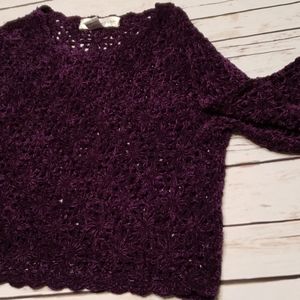 🌺EUC🌺 Crocheted Crop Sweater